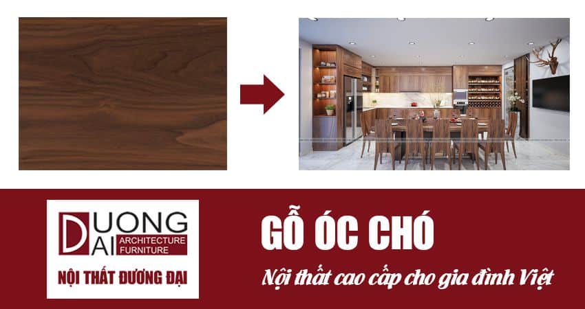 Gỗ óc chó - Dòng gỗ nhập khẩu cao cấp cho nội thất Việt