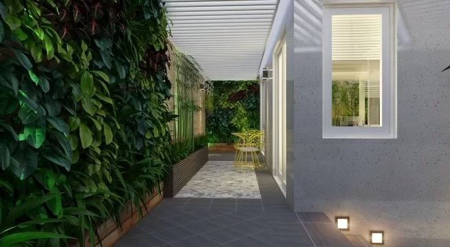 Vườn tường bên hông nhà tạo mảng xanh mát và mang lại hiệu quả để điều tiết nhiệt những khi thời tiết oi nóng, Vườn tường bên hông nhà tạo mảng xanh mát và mang lại hiệu quả để điều tiết nhiệt những khi thời tiết oi nóng,