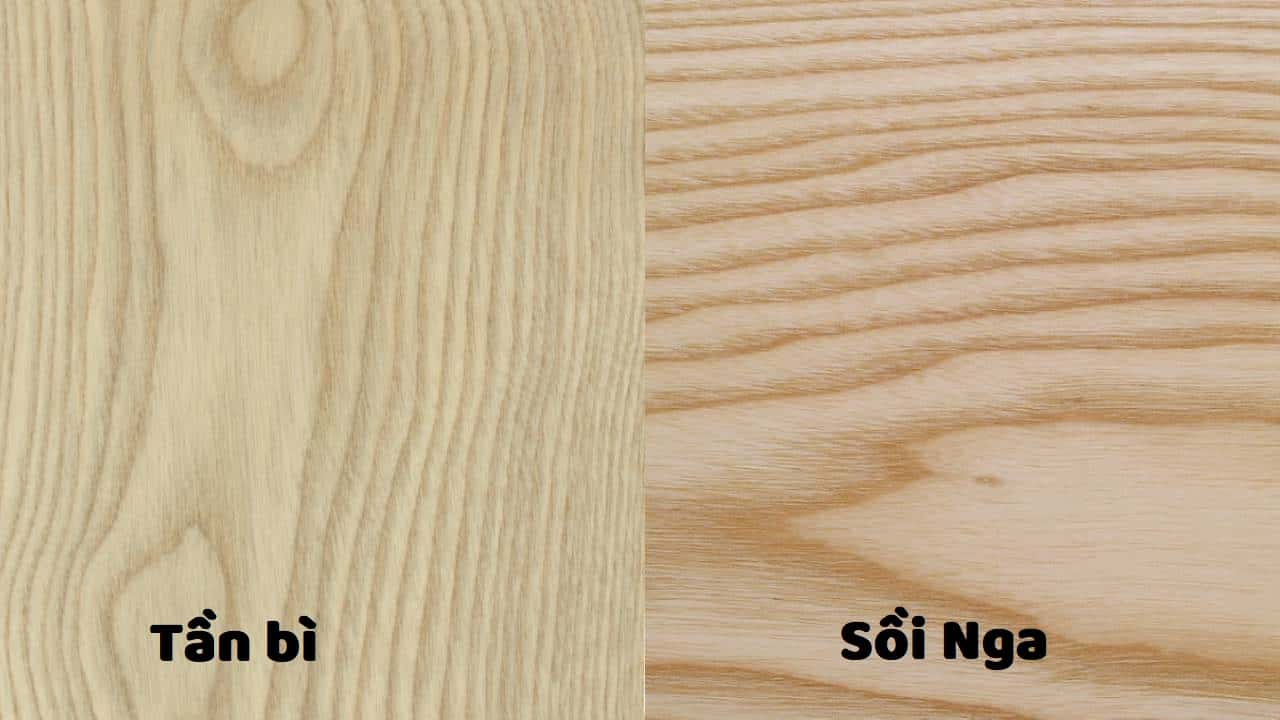 Phân biệt hai loại gỗ bằng đường vân và màu sắc